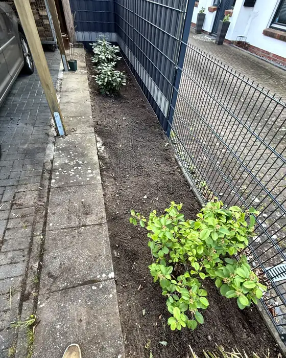 Beet am Carport nachher, frei und gepflegt