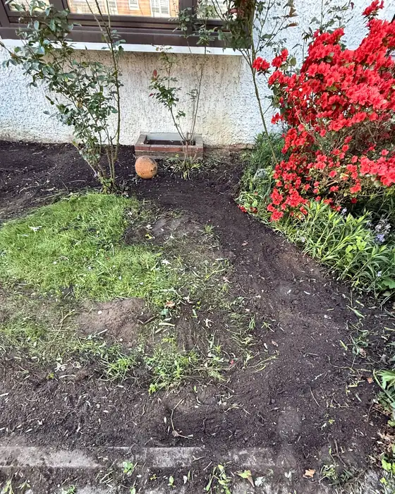 Vorgarten nachher, Beet frei und in Form