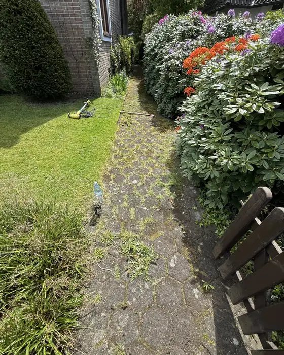 Weg am Staudenbeet vorher, bemoost
